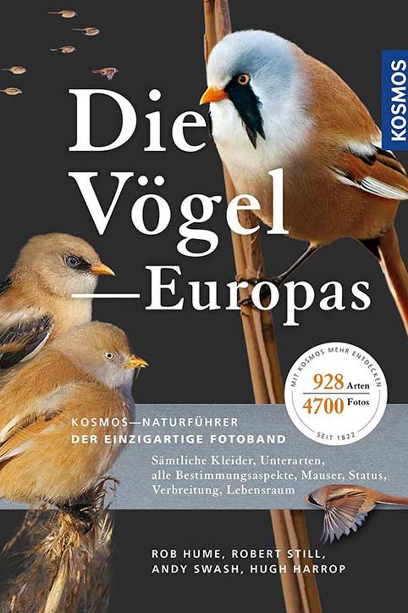 Voegel Europas