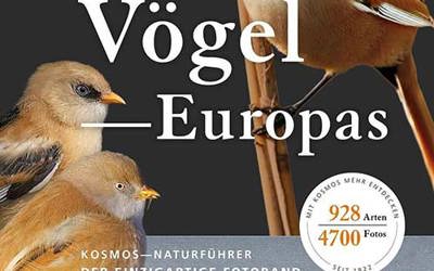 Voegel Europas