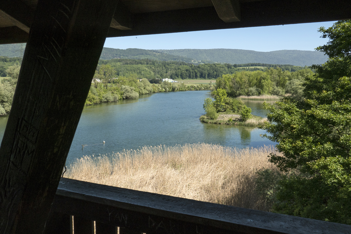 AA Staffelbach ORNIS 1250962