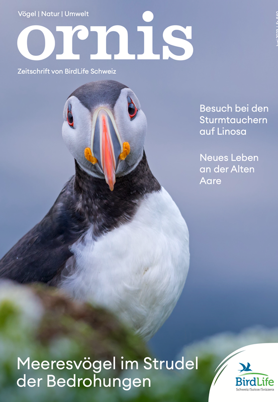 Kennen Sie schon unsere Zeitschrift über Vögel, Natur und Umwelt?