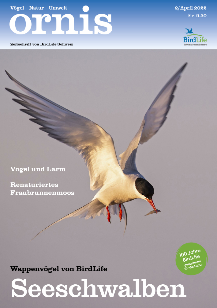 Willkommen bei Ornis!