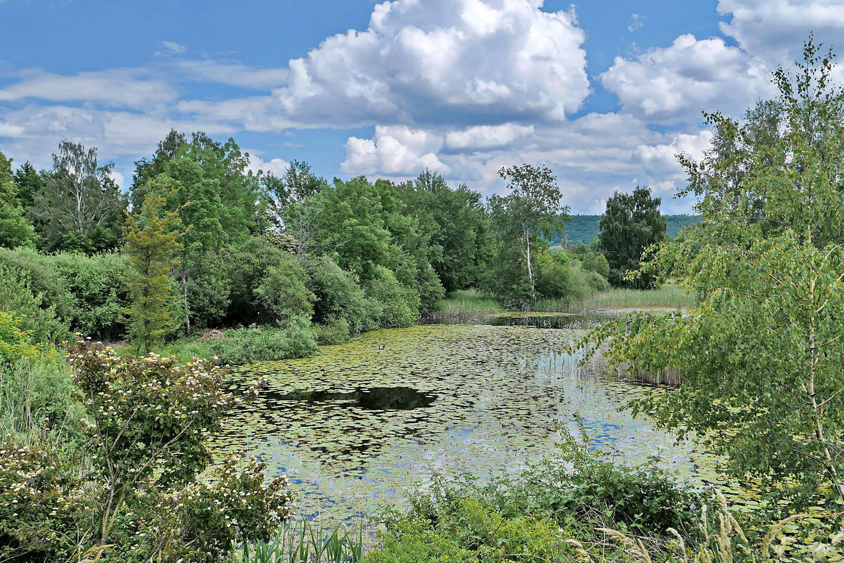 AA Maelduin 1302 015 Weiher